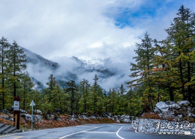 怎么做出广式豉汁蒸排骨?-优质问答服务平台