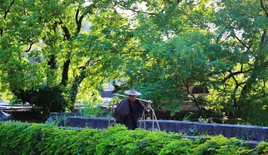 月光影视